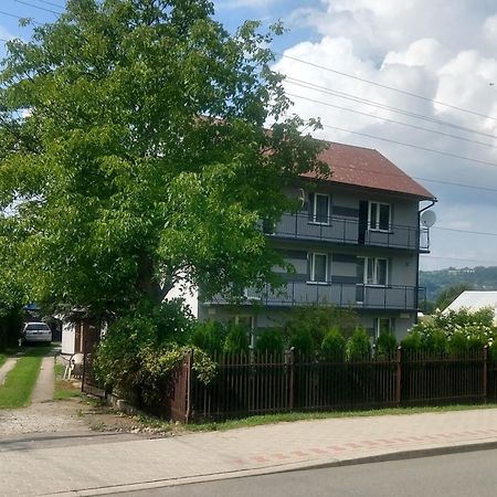 Hotel Pokoje Roznow Exterior foto